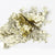 DIY Nail Painting Decorative Arts Highlighting Crushed Gold Leaves