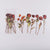 6pcs 1 Set PET Plant Series Sticker For DIY Diary