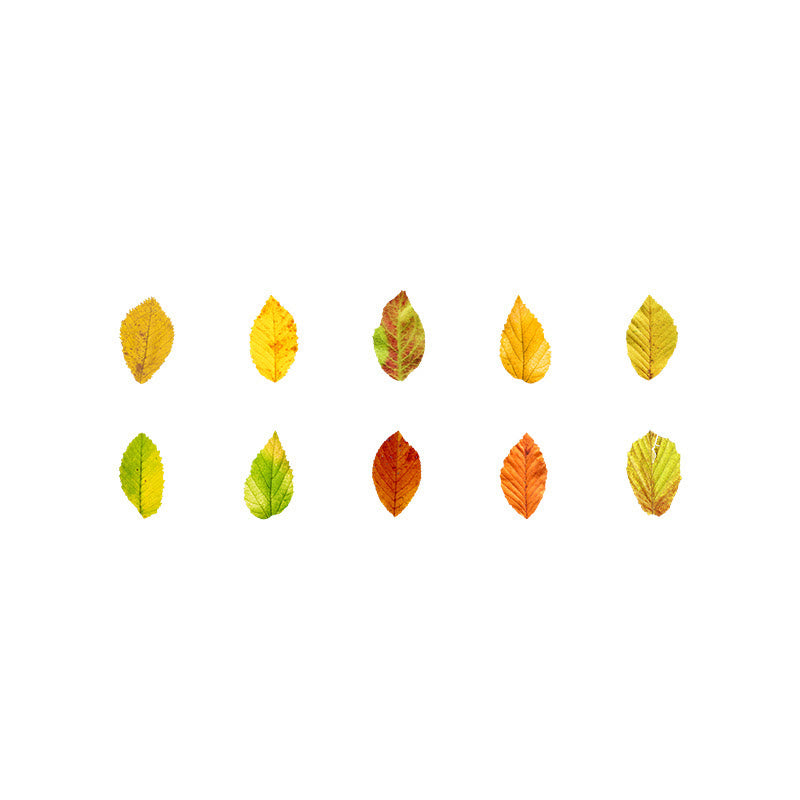 The Fallen Leaves of Champs-Elysees Series Tape Stickers