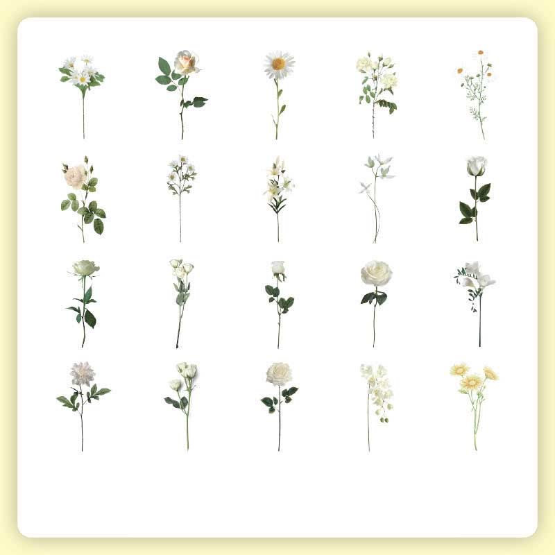 40Pcs Natural Museum Scrapbook Stickers Flowers Plants Insect Bird Mushroom