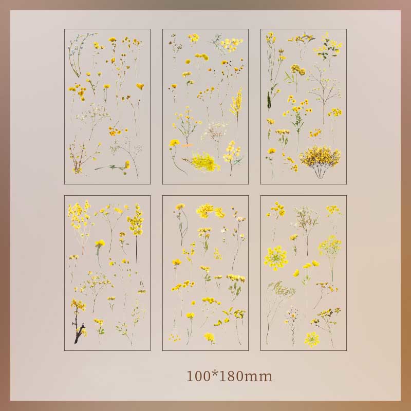 Natural Plants Floral Stickers Daisy Rose Lavender Eucalyptus