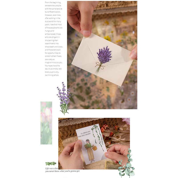 Natural Plants Floral Stickers Daisy Rose Lavender Eucalyptus