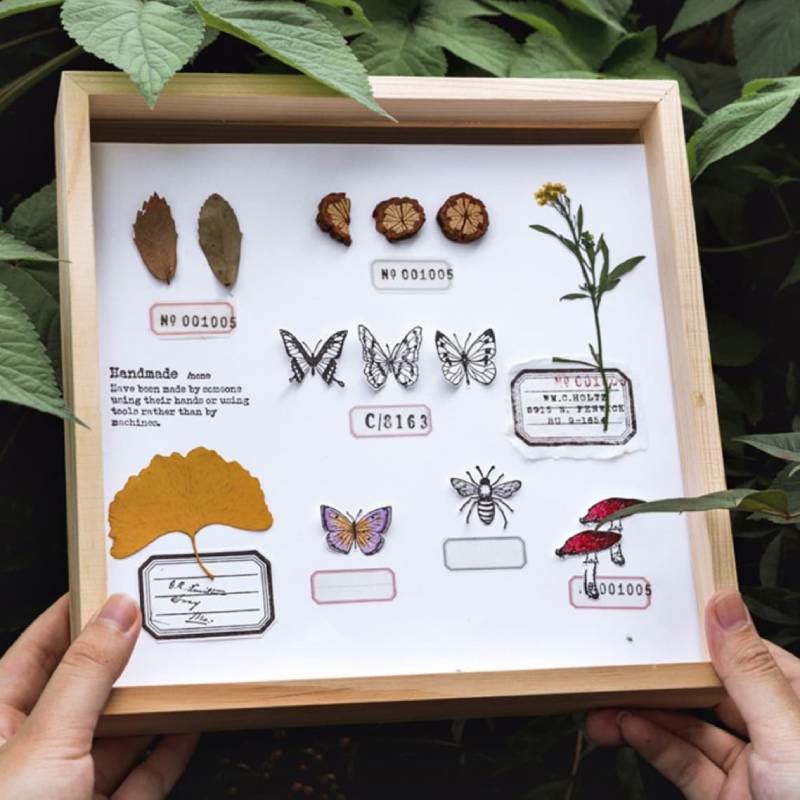 Forest Specimen Series 16 Styles Wooden Rubber Stamps Butterfly Mushroom Insect