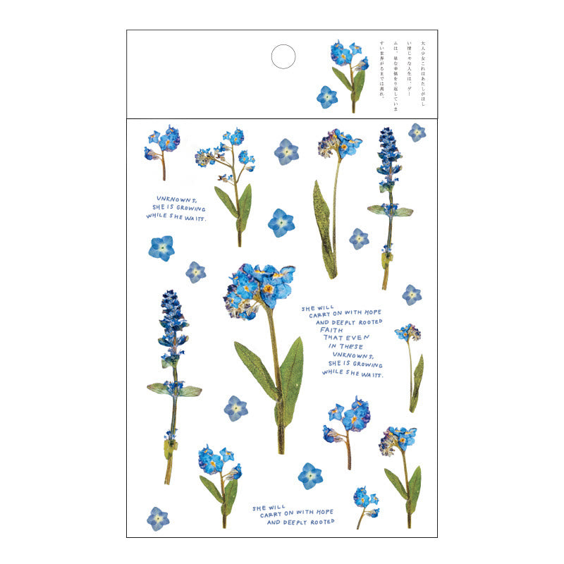 Translucent Romantic Flowers Series PET Sticker Set For Journal Decor