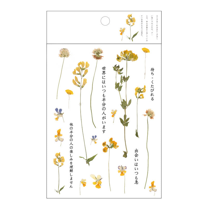 Translucent Romantic Flowers Series PET Sticker Set For Journal Decor