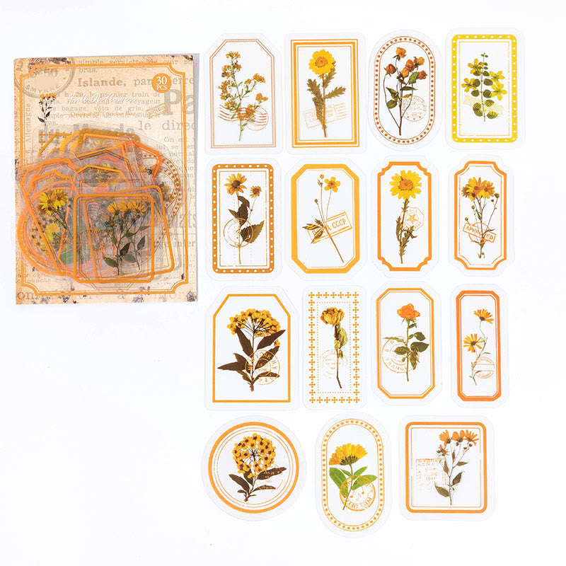 Plant Frame Series PET Sticker For Journal Decor