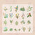 40pcs Peach Blossom Series Sticker For DIY Journal Decor