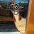 Funny Window Corner Ornament Hanging Decor Animals Gazing Suncatchers