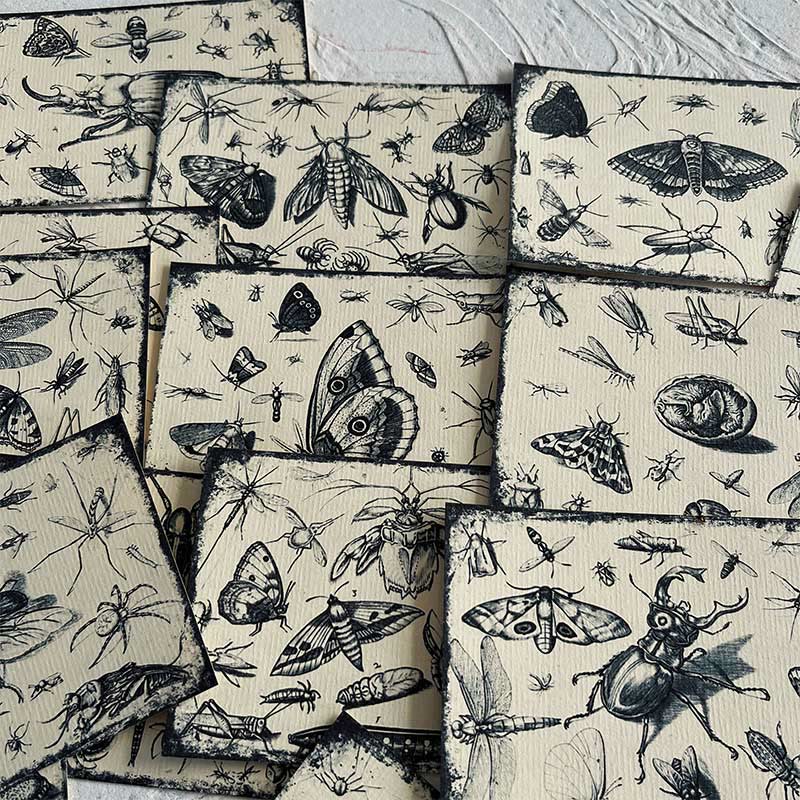 Black And White Insect Forest Series Paper Decorative Journaling Paper