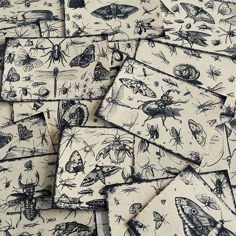 Black And White Insect Forest Series Paper Decorative Journaling Paper