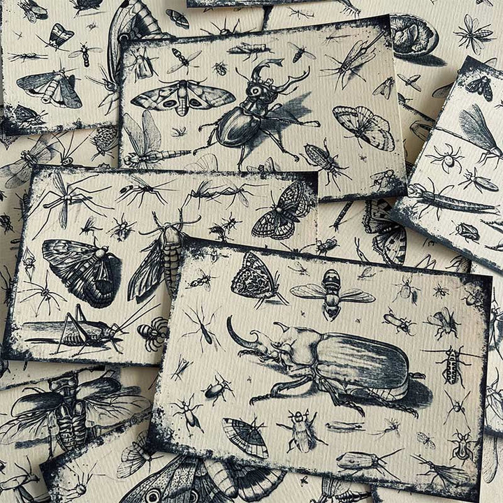 Black And White Insect Forest Series Paper Decorative Journaling Paper