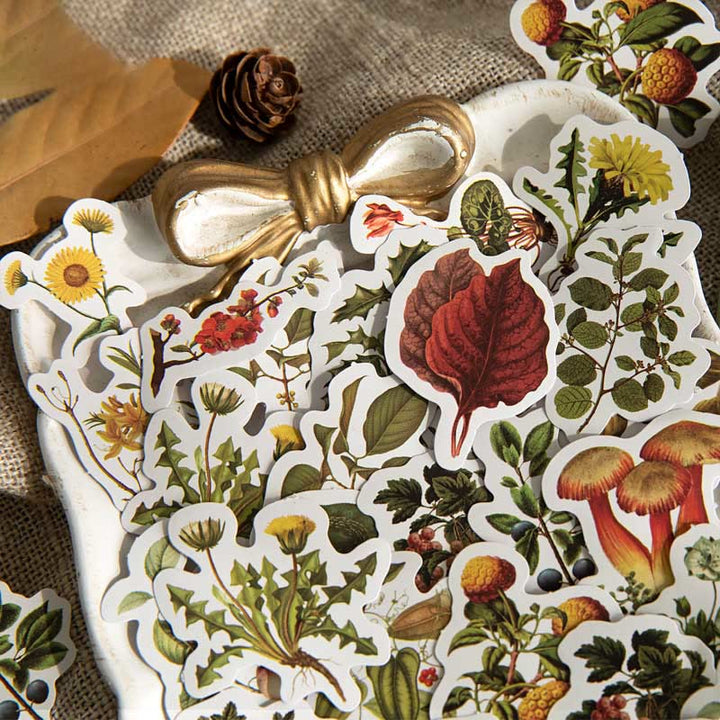 46pcs Retro Forest Series Sticker For DIY Journal Decor