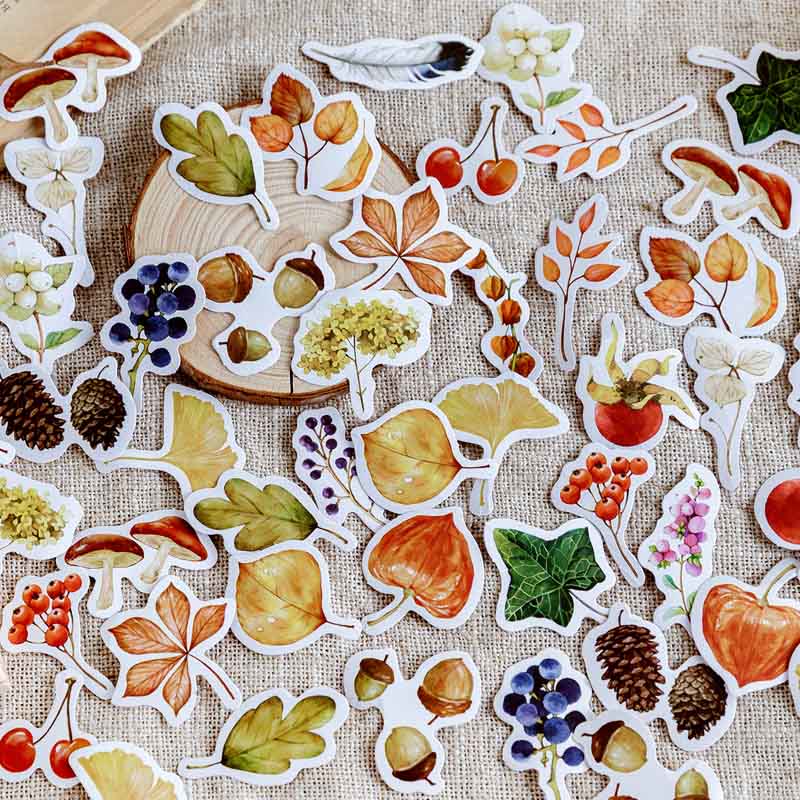 46pcs Leaves Are Falling Series Sticker For DIY Journal Decor