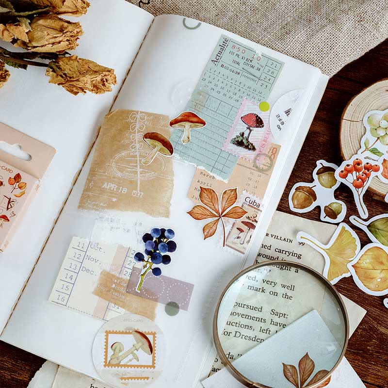 46pcs Leaves Are Falling Series Sticker For DIY Journal Decor