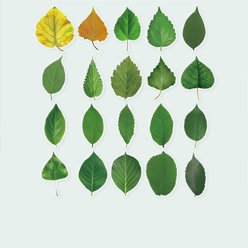 The Secret Language Of Leaves Sticker For DIY Journal Decor