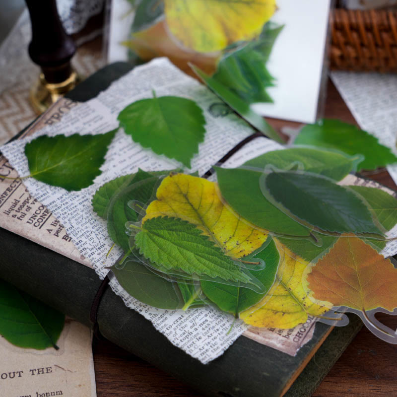 The Secret Language Of Leaves Sticker For DIY Journal Decor