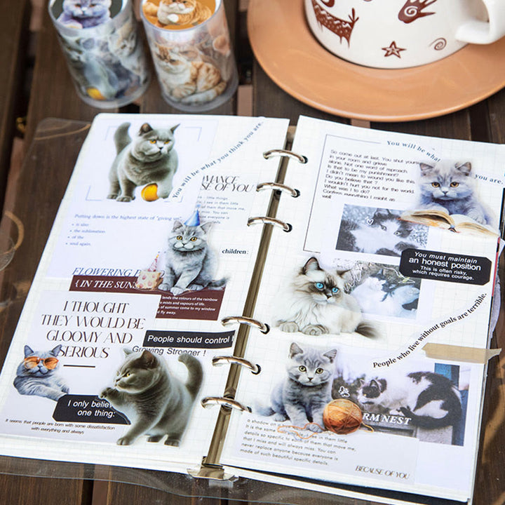 Cute Cat Book Series Tape Loop Sticker For Journal Crafts