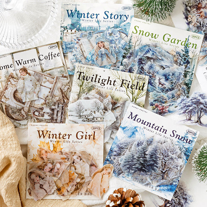 Winter Daily Life Series PET Sticker For Journal Decor