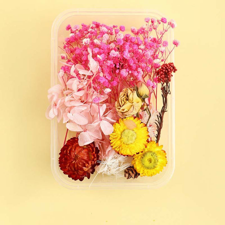 Real Dried Flowers for DIY Craft Mixed Colors Dried Pressed Leaf Flowers