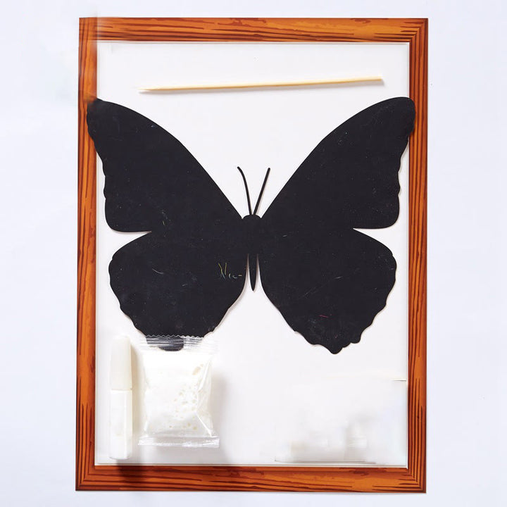 Insect Paint Specimens DIY Craft Kit with Photo Frame