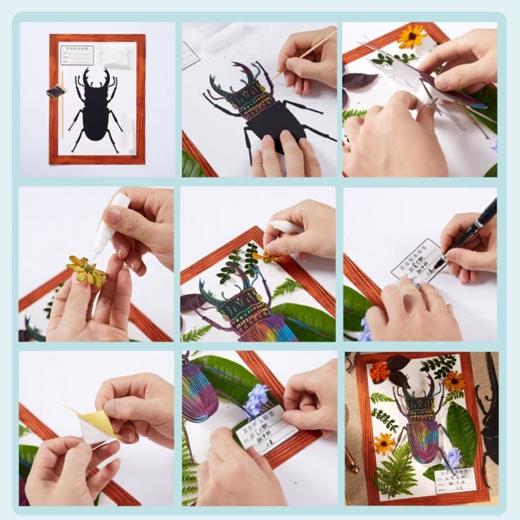 Insect Paint Specimens DIY Craft Kit with Photo Frame