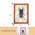 Insect Paint Specimens DIY Craft Kit with Photo Frame