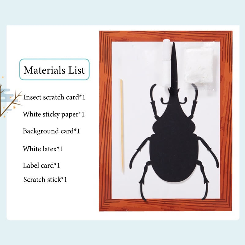 Insect Paint Specimens DIY Craft Kit with Photo Frame