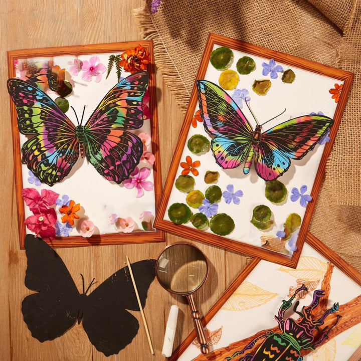 Insect Paint Specimens DIY Craft Kit with Photo Frame