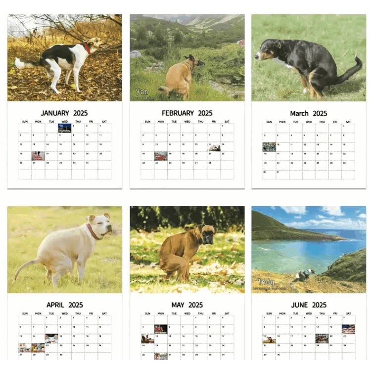 2025 Dogs Pooping In Beautiful Places 12 Months Calendars New Year Gift