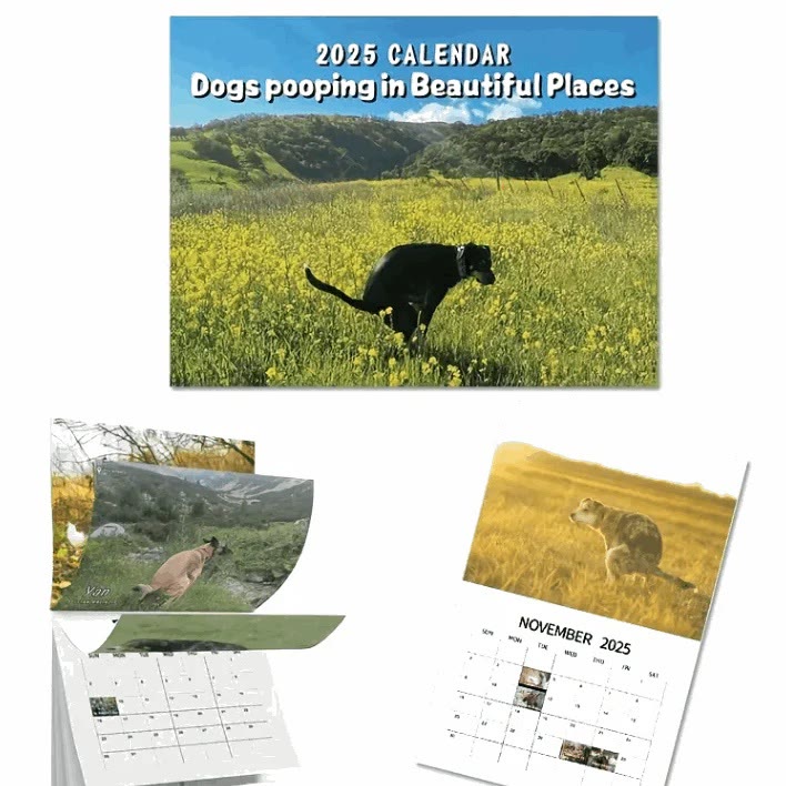 2025 Dogs Pooping In Beautiful Places 12 Months Calendars New Year Gift