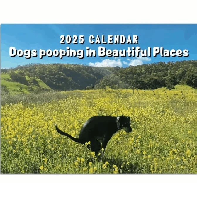 2025 Dogs Pooping In Beautiful Places 12 Months Calendars New Year Gift