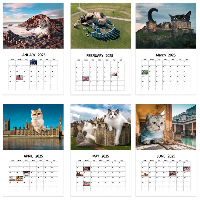 2025 Giant Cats Lunar Calendar 12 Months Calendars New Year Gift