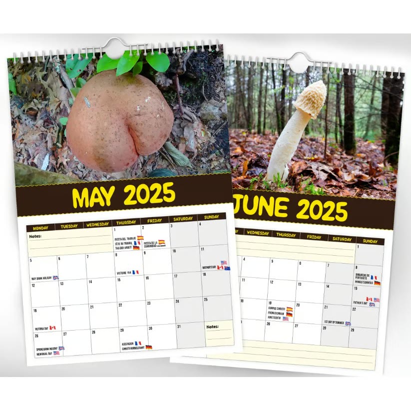 2025 World's Greatest Mushrooms Lunar Calendar 12 Months Calendars New Year Gift