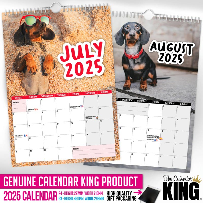 2025 Cheeky Dachshunds Lunar Calendar 12 Months Calendars New Year Gift