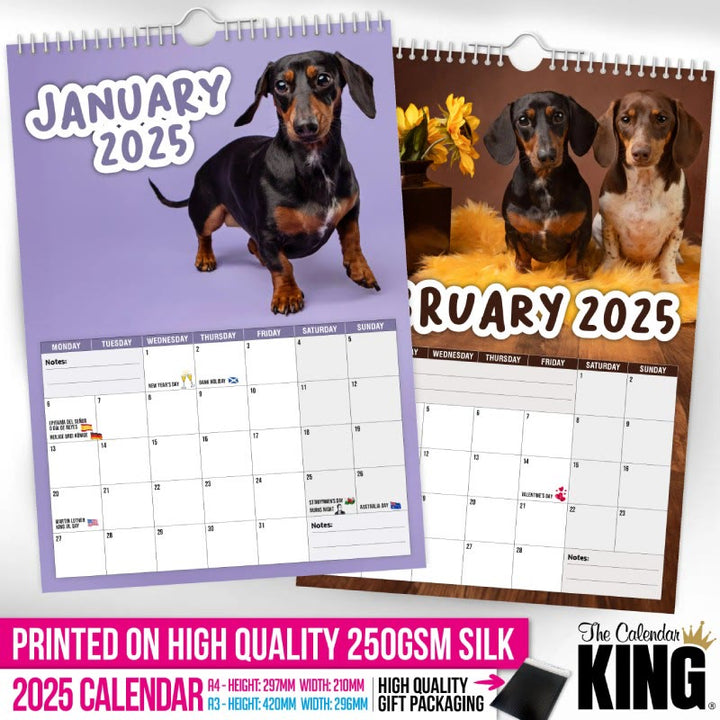 2025 Cheeky Dachshunds Lunar Calendar 12 Months Calendars New Year Gift