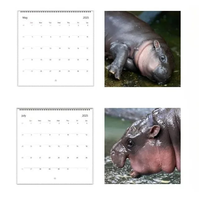 2025 Moo Deng Lunar Calendar 12 Months Calendars New Year Gift