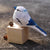 Little Titmouse Carved Wooden Sculpture Desktop Deocr For Gift