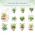 Green Fern Dance Series Stickers For Decorative Scrapbook Supplies