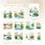 Small Pond Side Seriess Stickers For Decorative Scrapbook Supplies