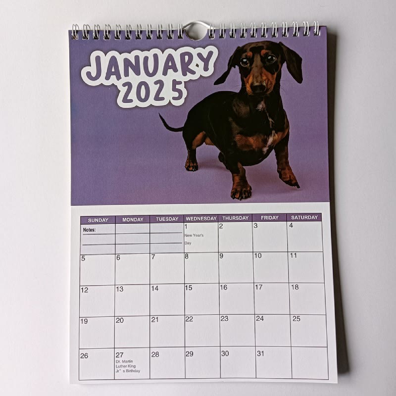 2025 Cheeky Dachshunds Lunar Calendar 12 Months Calendars New Year Gift