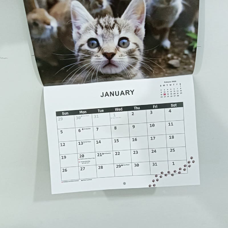 2025 Animal Friend Lunar Calendar 12 Months Calendars Office Desktop Decoration